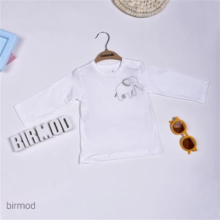 df512347-8e56-43d4-8cb2-1b205a51cee7.jpg