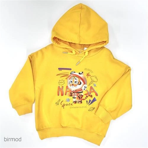 هودی طرح ببر فضانورد